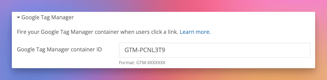 Paste your Container ID into the Google Tag Manager field.