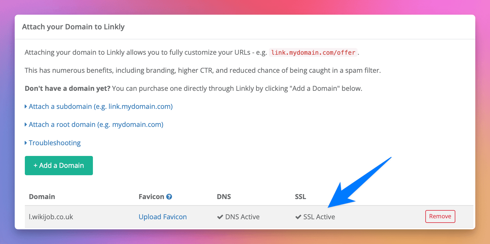 Poczekaj na aktywację DNS i SSL
