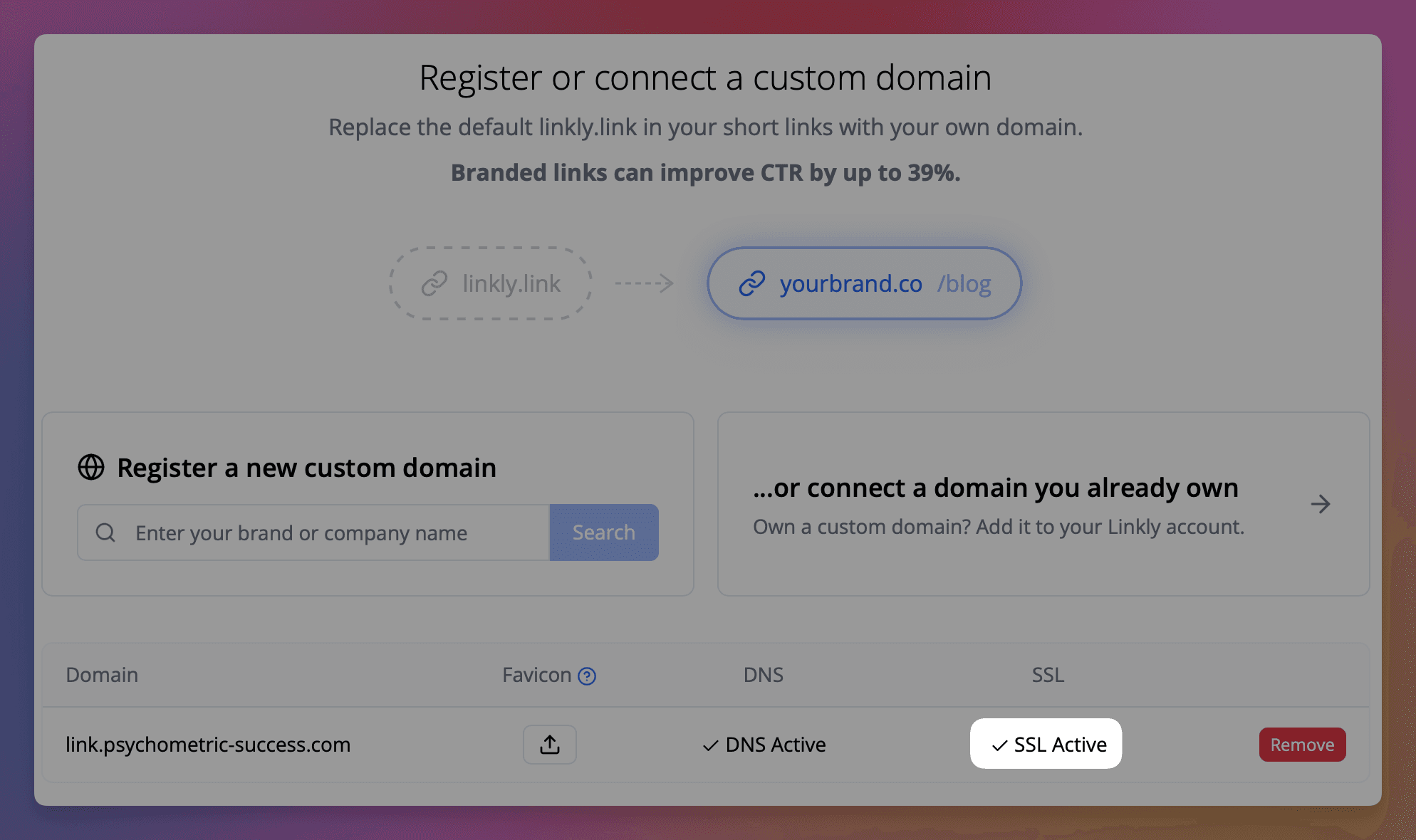 Warten Sie auf DNS- und SSL-Aktivierung